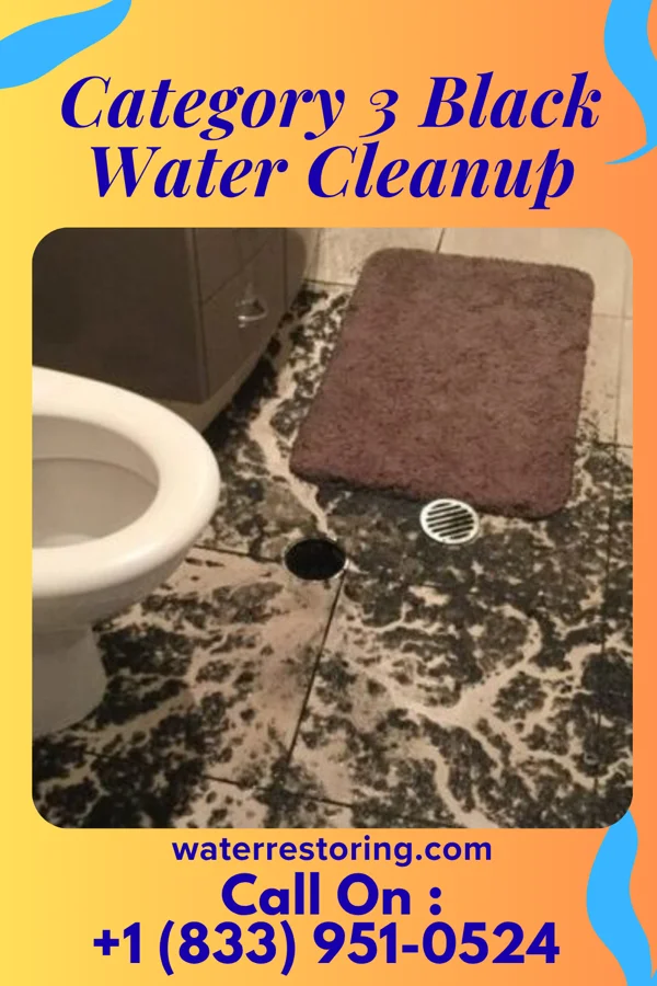 Category 3 Black Water Cleanup in Cumberland, WI